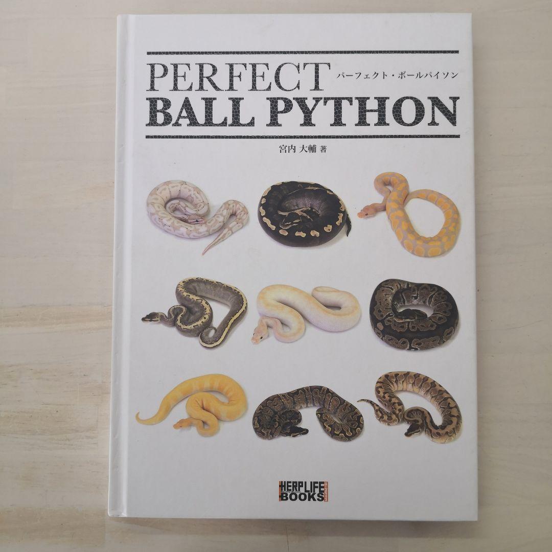 パーフェクト・ボールパイソン What color will they grow into? Real customer testimonials and