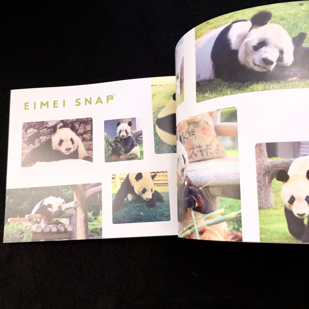 ジャイアントパンダ 永明30歳記念 写真集「永明からつながるスマイル