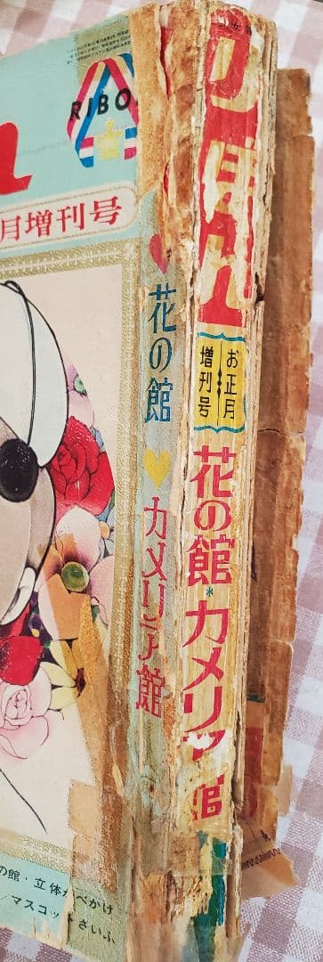 新春セール！わたなべまさこ「花の館・カメリア館」総集編前編 りぼん
