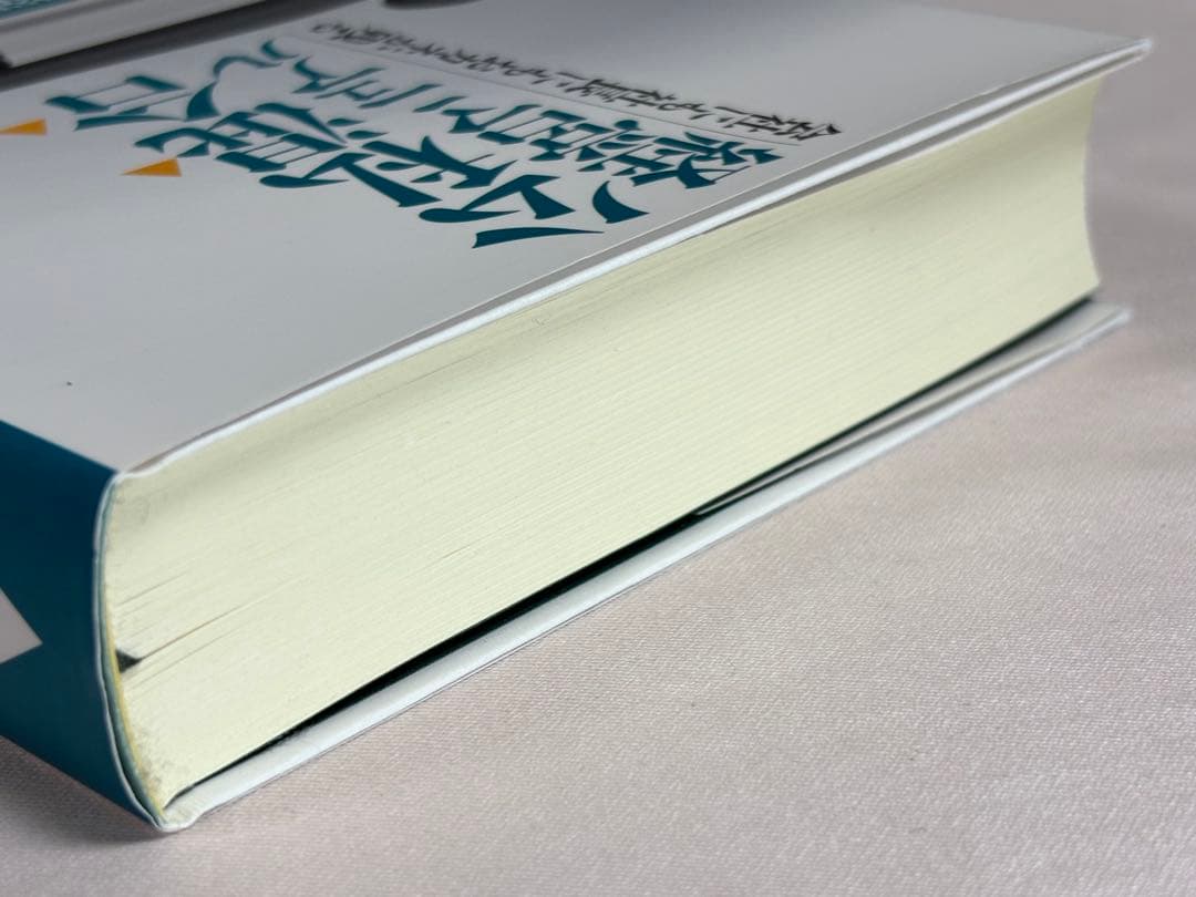 公私混合経営マニュアル 会社にも社長にもおカネが残る 海生裕明／著