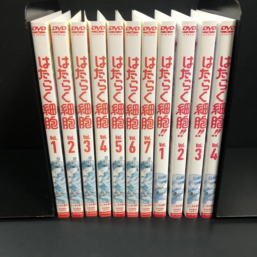 はたらく細胞 1期+2期 レンタルDVD アニメ 全巻セット はたらく細胞!! 1 | アニメ | 宅配DVDレンタルのTSUTAYA DISCAS