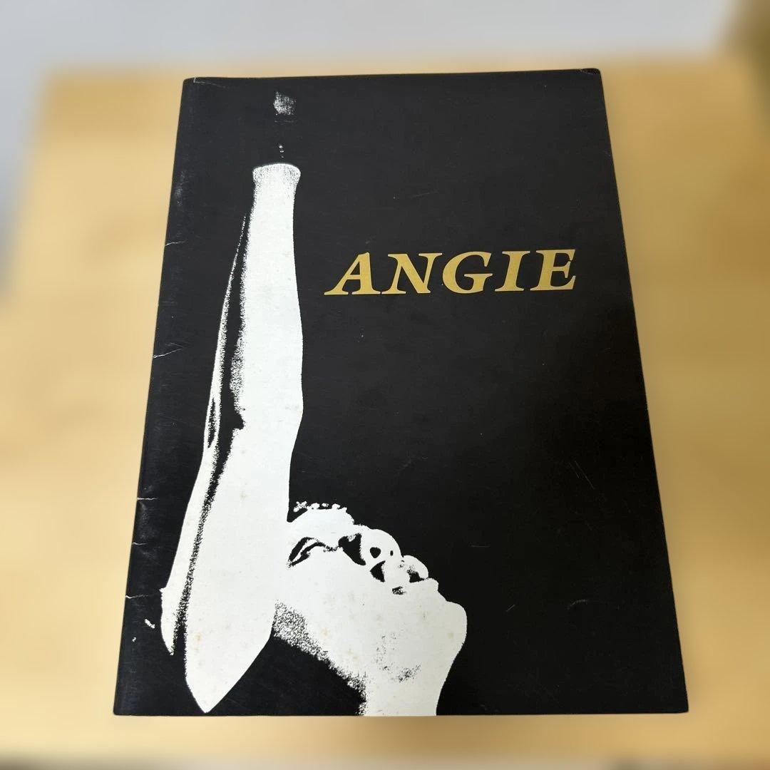 ANGIE アンジー バンド 紹介 パンフレット 当時物 - メルカリ