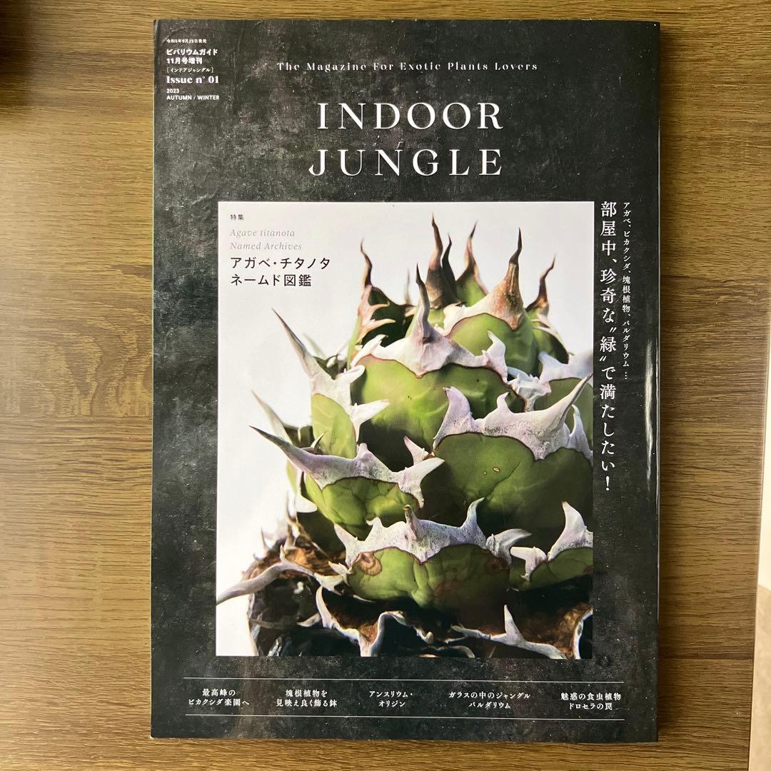 INDOOR JUNGLE（インドア ジャングル）No.01 - メルカリ