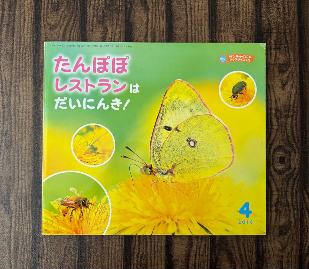 たんぽぽ ちいさなかがくのとも キンダーブックしぜん ビッグ