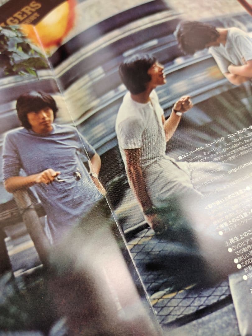 ミュージック THE TIGERS FOREVER DVD BOX -LIVE & MORE-