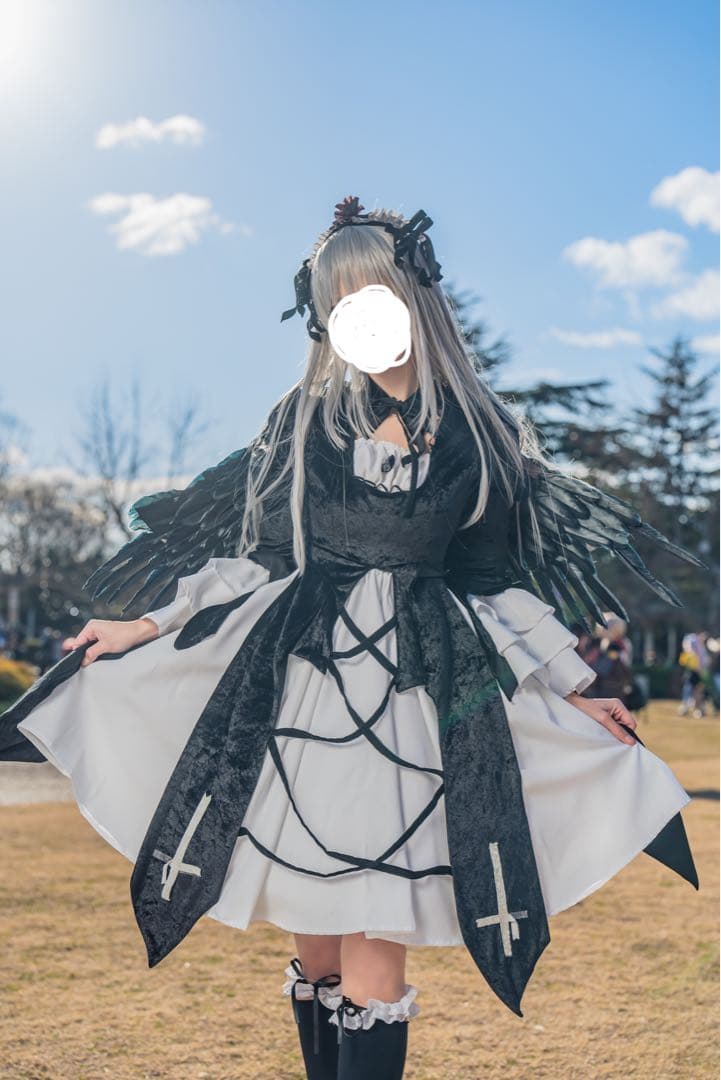 ローゼンメイデン 水銀燈 コスプレ ウィッグ付き - メルカリ