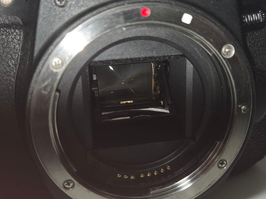 デジタルカメラ Canon EOS 9000D+EF75-300mm f/4-5.6 III