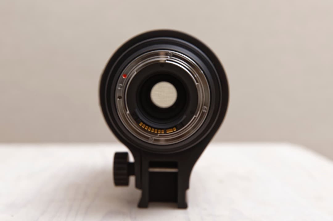 シグマAPO120-400mm F4.5-5.6 DG OS HSM キヤノン