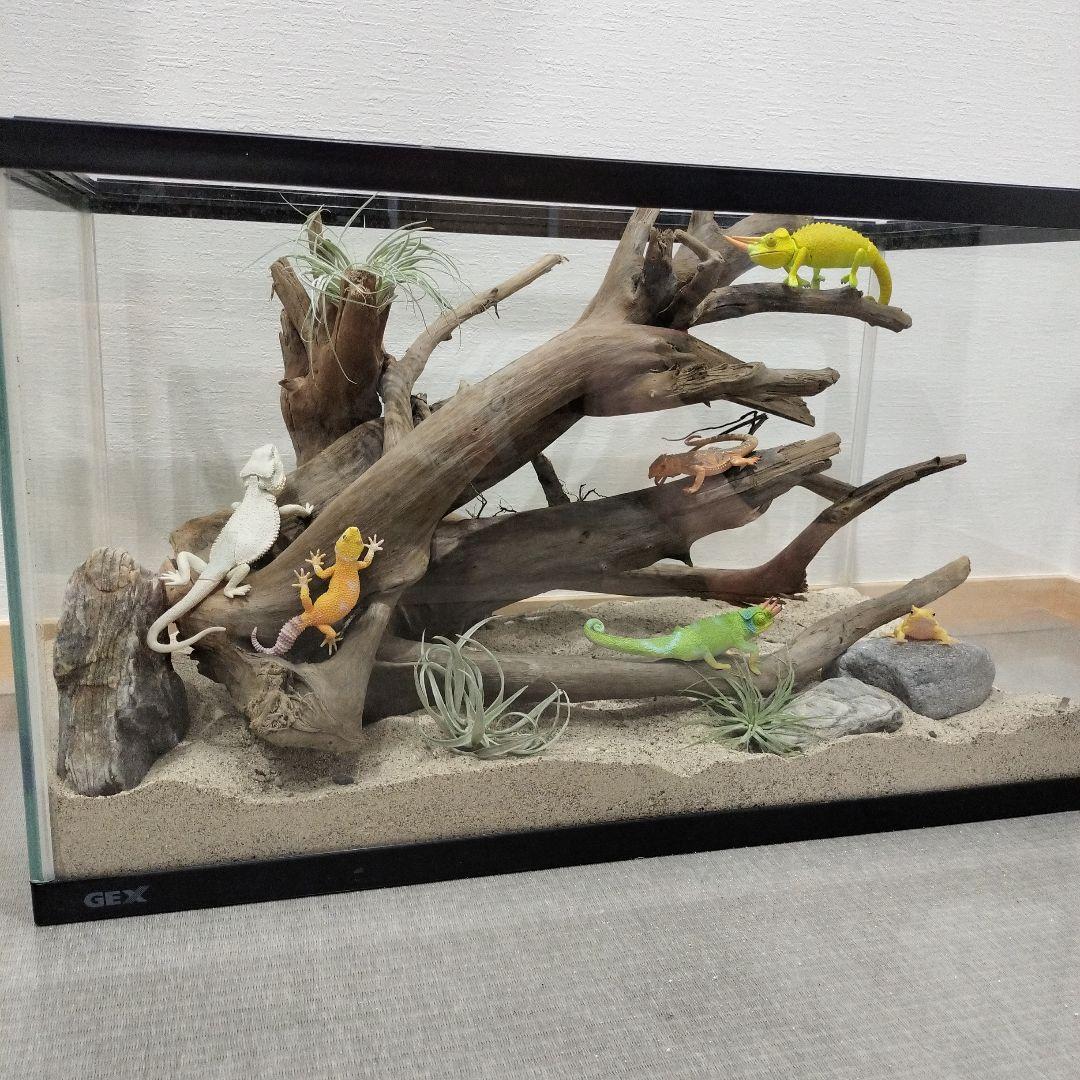No.836】大型流木 爬虫類レイアウト✫インテリア✫ - メルカリ