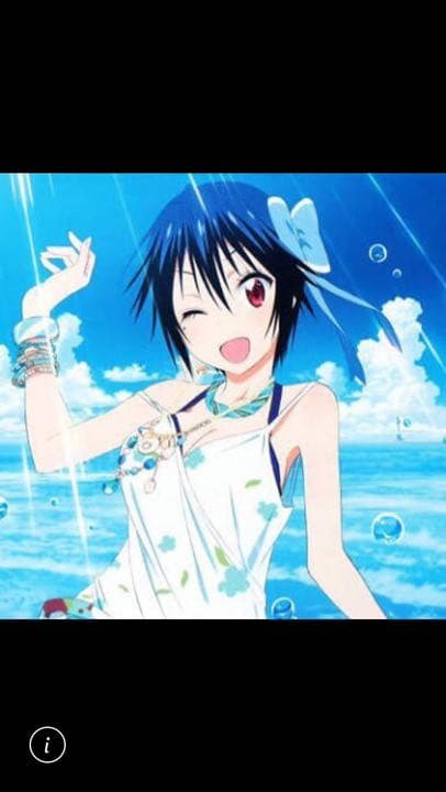 ターミネーターくもり時々ミートボールデスノートDVDきんいろモザタペストリー