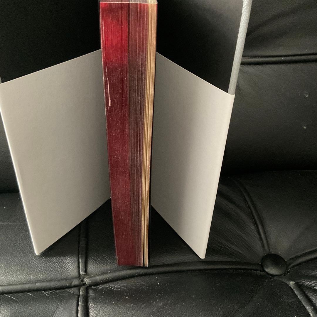 限局性激痛　ソフィ・カル