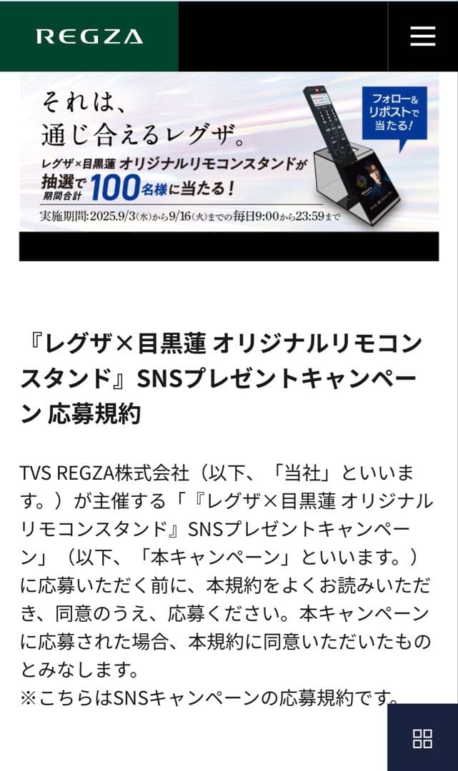 REGZA レグザ オリジナル 限定記念品 リモコンスタンド 未使用 目黒蓮
