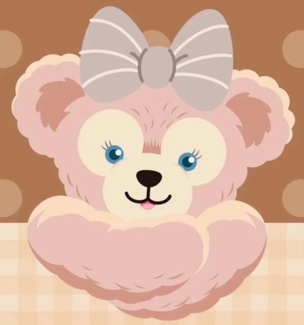 クマのキャラクター DVD クマーバチャンネル」のオリジナル知育映像が入ったふろくDVD付き