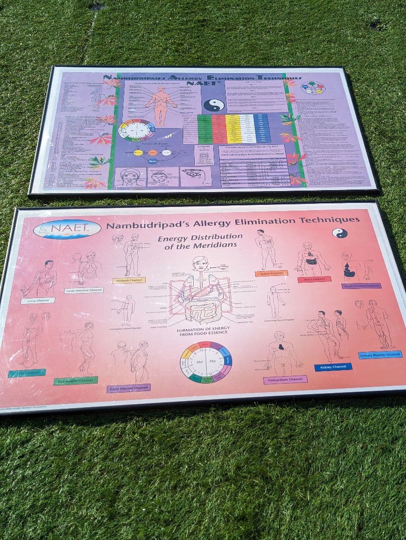 超希少！NAETアレルギー除去法オリジナルポスター 災害時のこどものアレルギー疾患対応パンフレット（改訂版）・ポスター