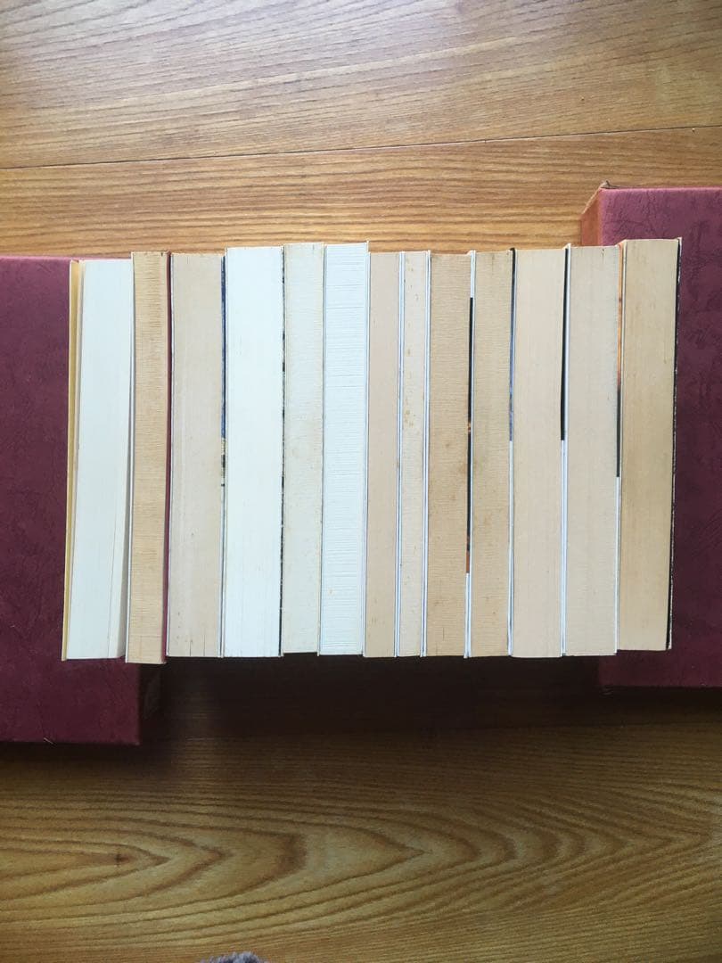 パトリシア・ハイスミス 文庫 13冊 セット まとめ売り - メルカリ