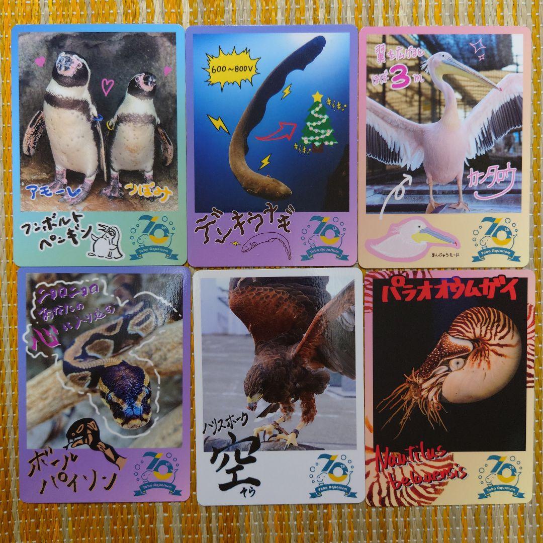 鳥羽水族館 70周年 コレクションカード - メルカリ