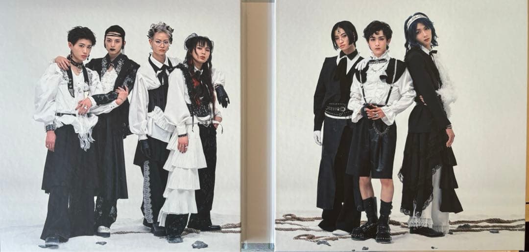 龍宮城 WALTZ 完全生産限定盤 白盤(トレカなし)+期間限定生産盤セット