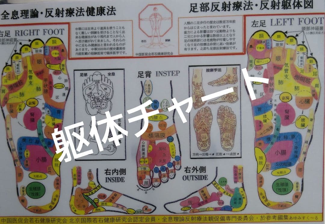 A3:足つぼ（DVD）学ぶ（足部反射療法3級・基礎編）プロの教材set