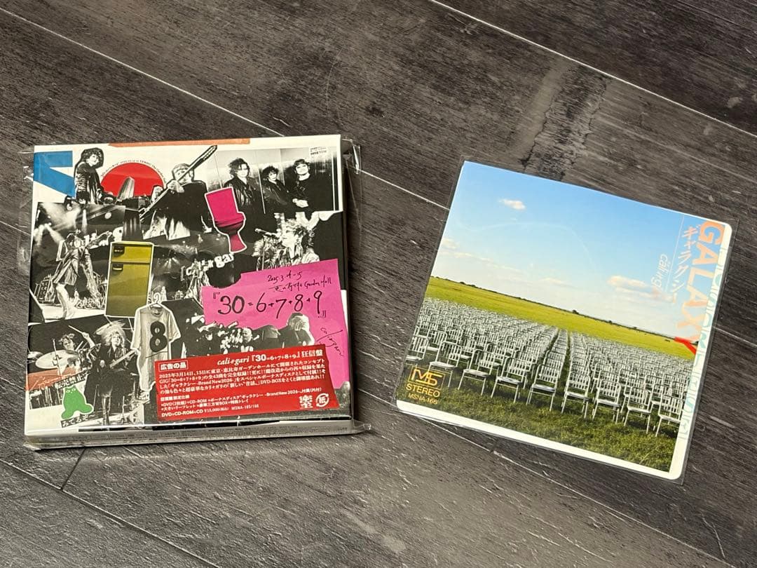 cali≠gariカリガリの仕事2025「30＝6＋7＋8＋9」(狂信盤) - メルカリ
