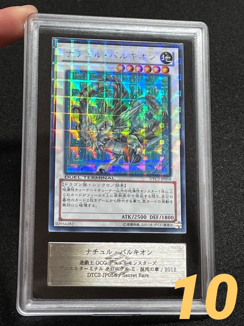 ARS鑑定 10】ナチュルパルキオン DTC シークレットレア 貴重！ - メルカリ