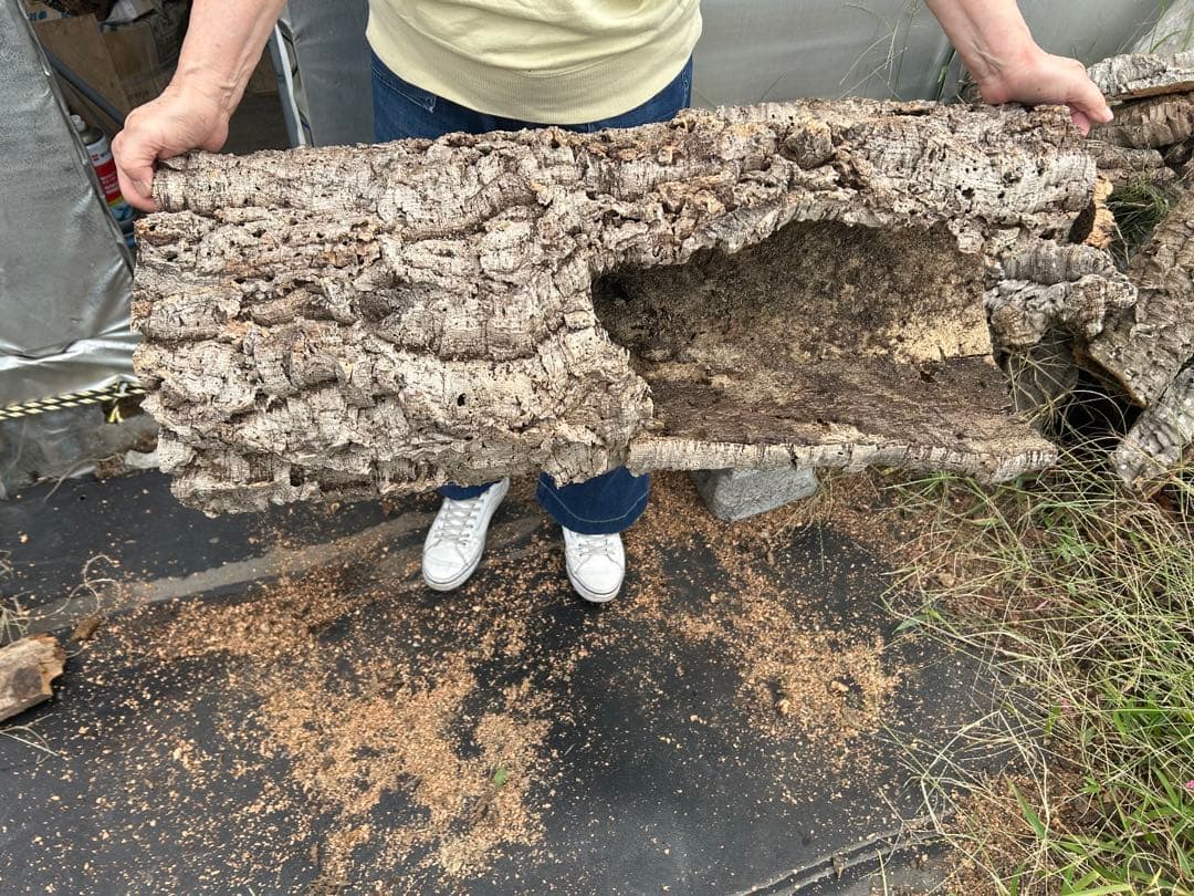 ポルトガル産コルク樹皮ＰＬ-102-10ＬＬ ポルトガル産コルク樹皮PL-102-10LL ポルトガル産コルク樹皮PL-102