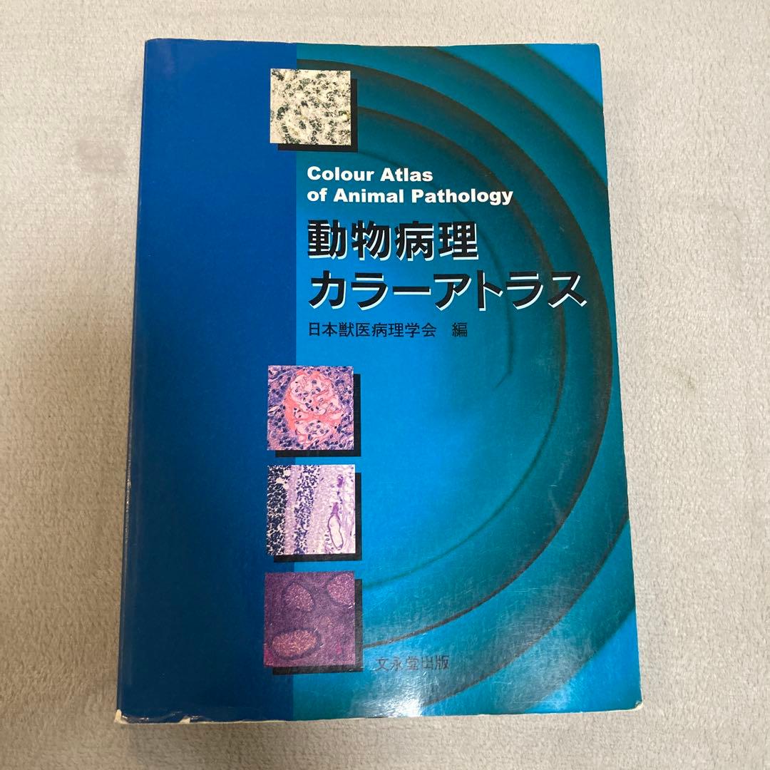 動物病理カラーアトラス - メルカリ