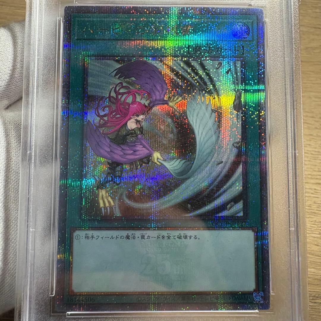 鑑定品 PSA10 】 極美品 ハーピィの羽根帚 25th クオシク 絵違い