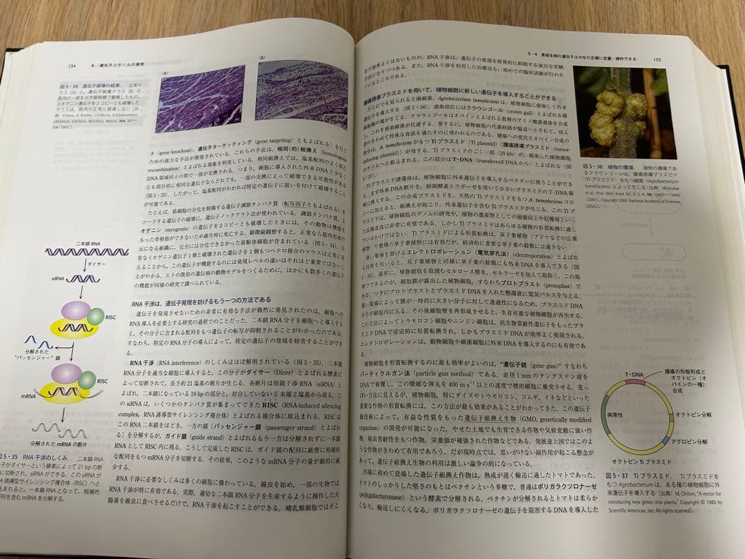 ストライヤー 生化学 第7版 - メルカリ