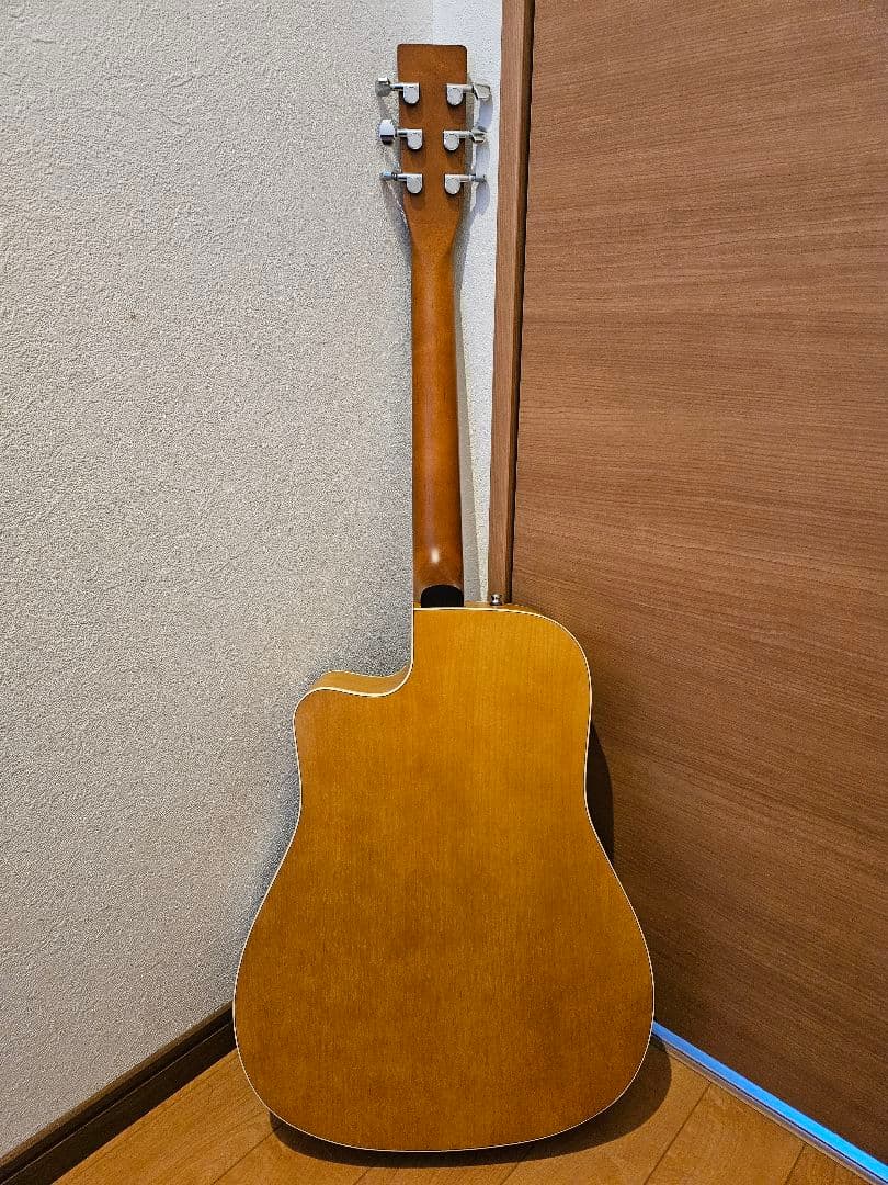 NORMAN B18 CW (fishman presys)