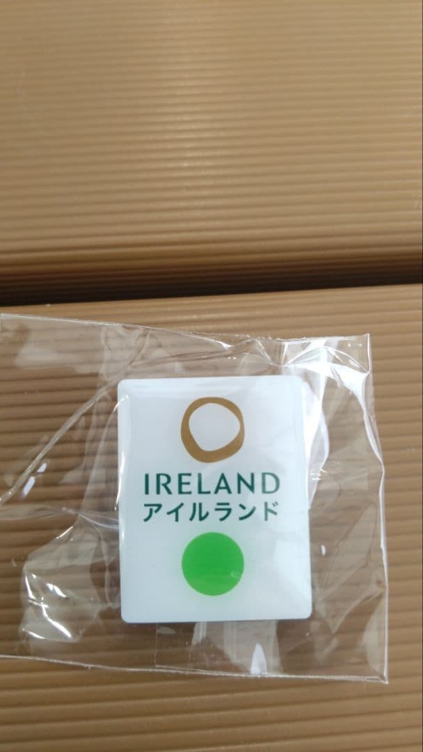 関西万博 アイルランド館 ピンバッジ 非売品 EXPO2025