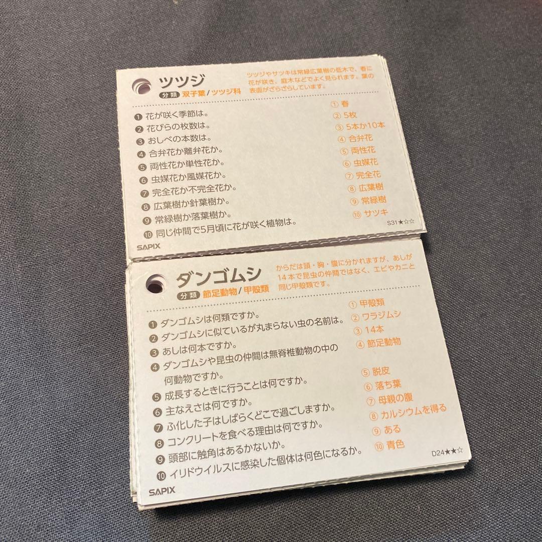 SAPIX理科 植物カード、動物カード全80枚 - メルカリ