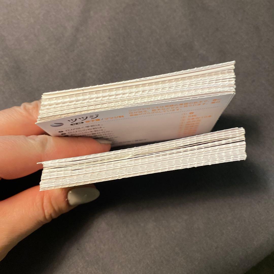 SAPIX理科 植物カード、動物カード全80枚 - メルカリ