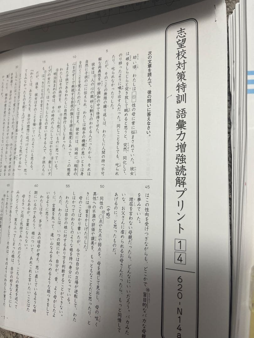 お値下【2025受験】グノーブル2024年9月〜1月 日特 志望校対策（早稲田