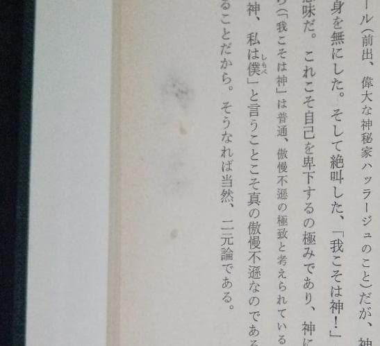 値下げ【昭和53年初版】イスラーム古典叢書 ルーミー語録