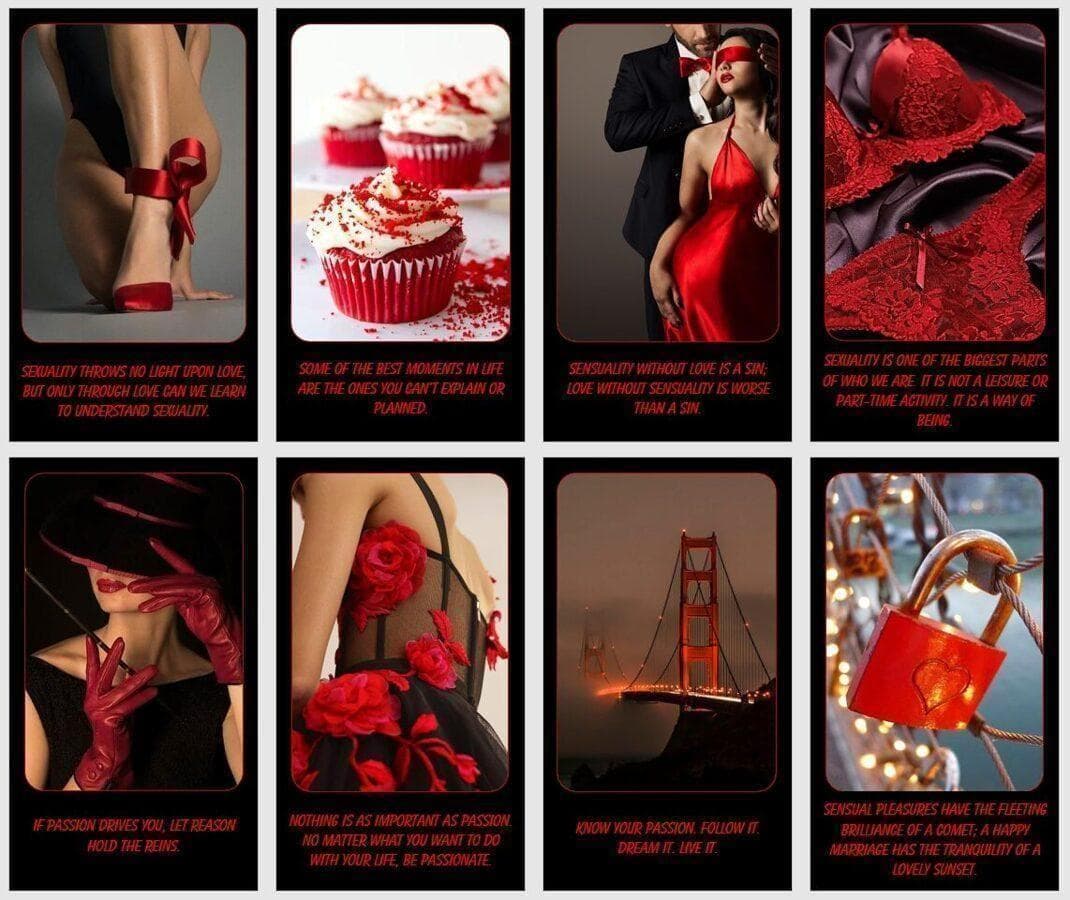 正規品オラクルカード】おしゃれでクール✨赤と黒の個性カラー✨情熱と