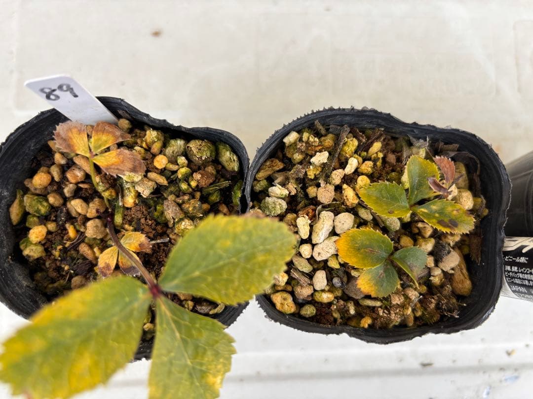 敦子様 リクエスト 4点 まとめ商品