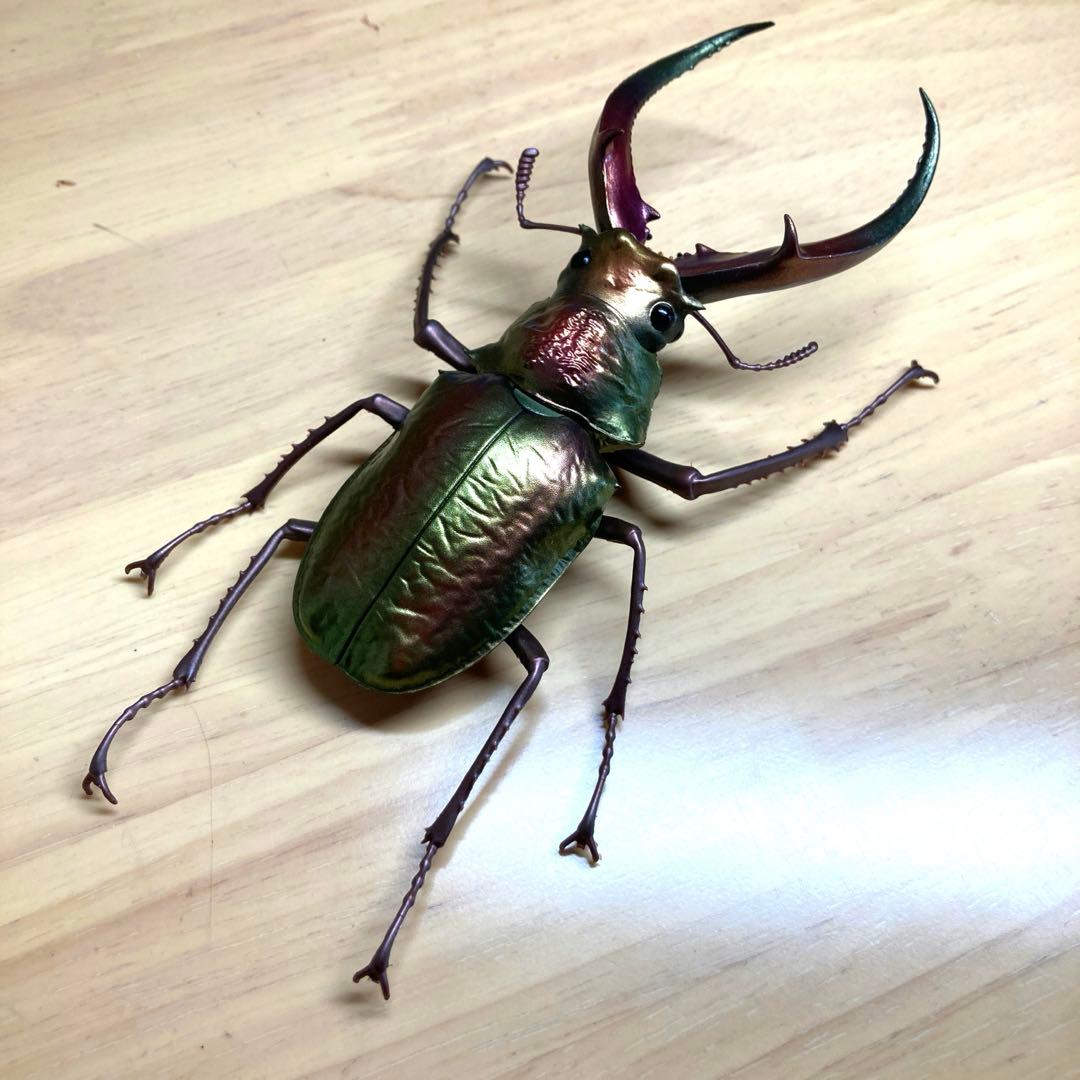 いきものの大図鑑 くわがた10 フェイスタメルシワバネクワガタ