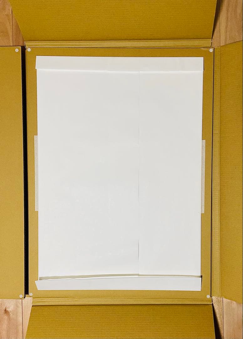 井田幸昌 複製画ポスター ドナルドダック - メルカリ