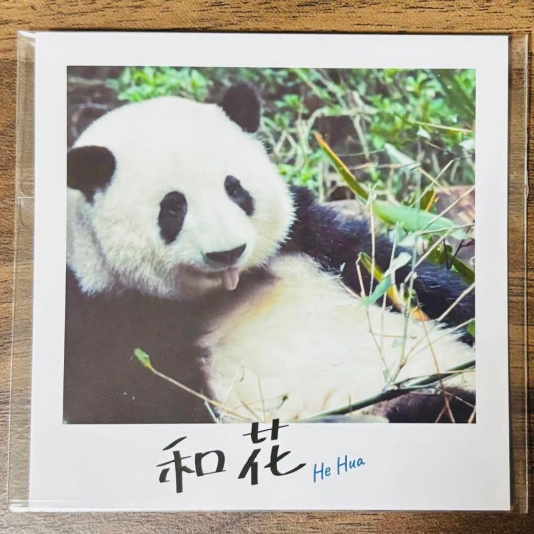 パンダのすごい世界 映画特典 チェキ風カード 2枚 - メルカリ