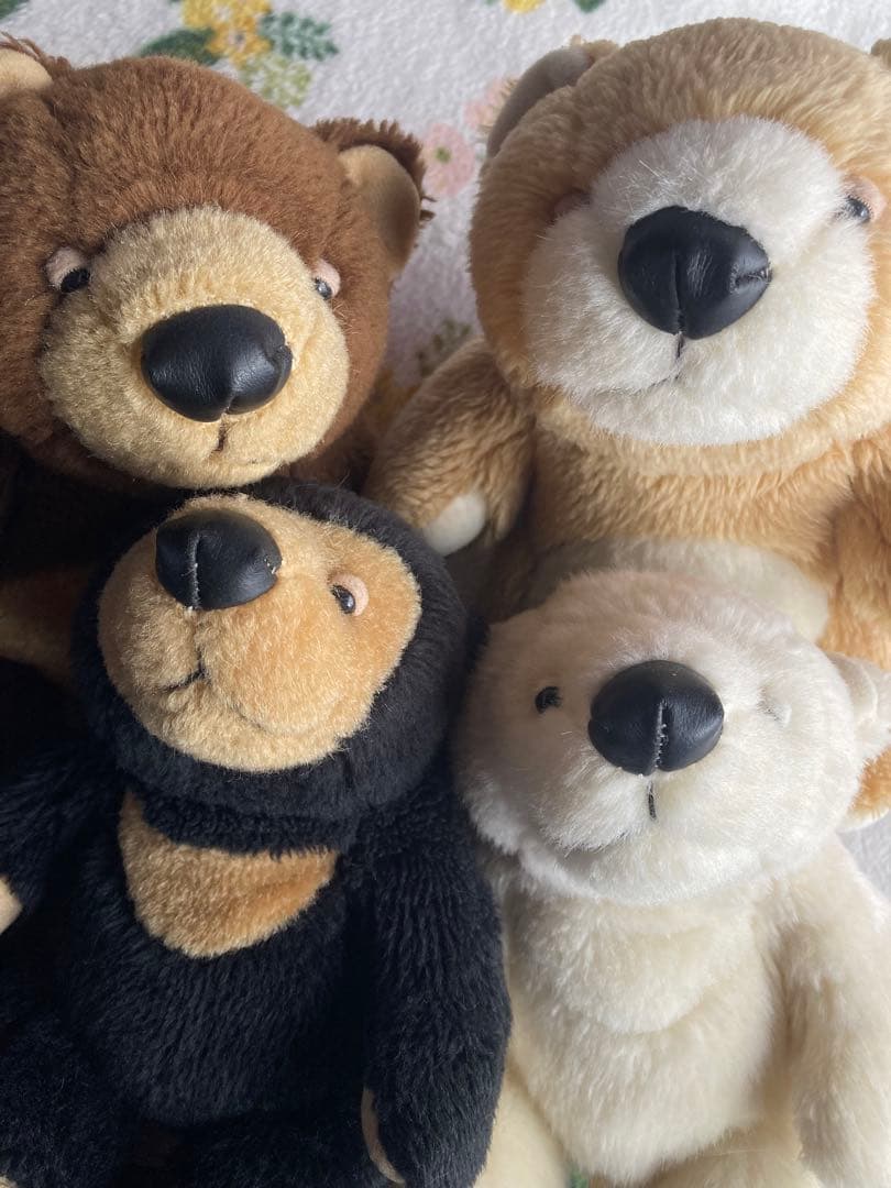 モンスイユ　マレーちゃん　ヒグマちゃん　4体セット 🧸モンスイユぬいぐるみ🧸 マレーグマのマレーちゃん再入荷いたしまし