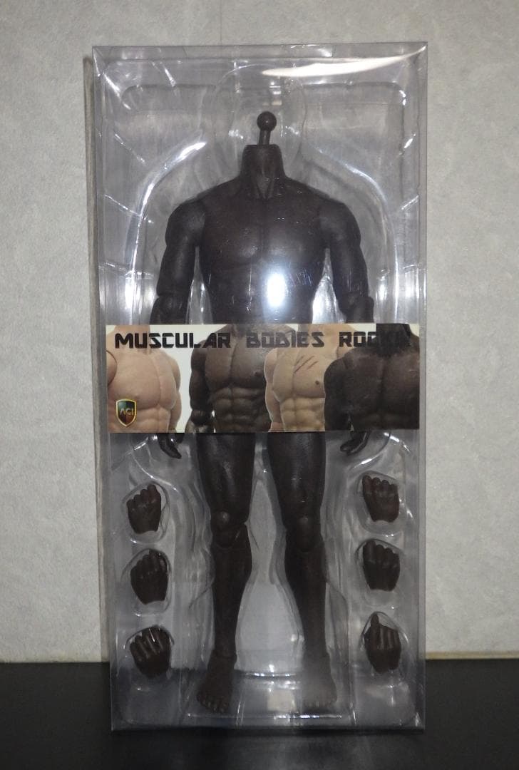 ACI TOYS 1/6 BODY SERIES ANDREW