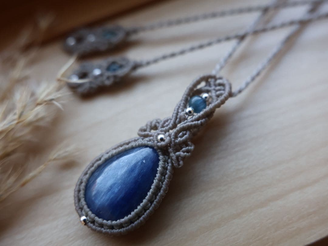 でんちゃん 11/8