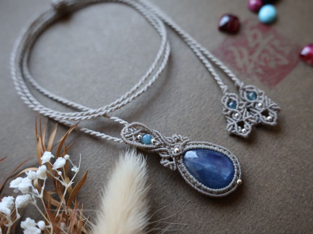 でんちゃん 11/8