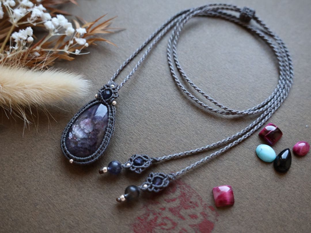 でんちゃん 11/8