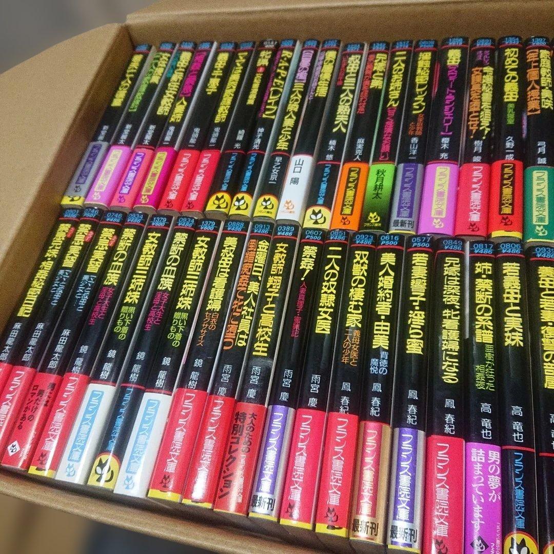 フランス書院文庫　60冊セット　まとめ売り