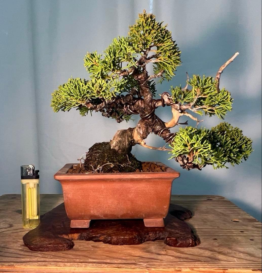 To4kazu SPARK Kawasaki ZX-6R Full Titanium Exhaust System (racing