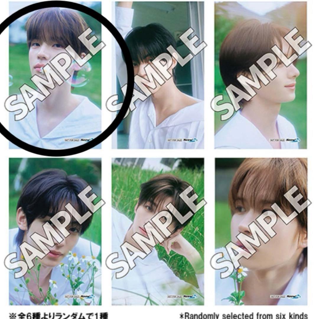 シニュ tws フォトカード特典 新品未開封 トレカ ブロマイド