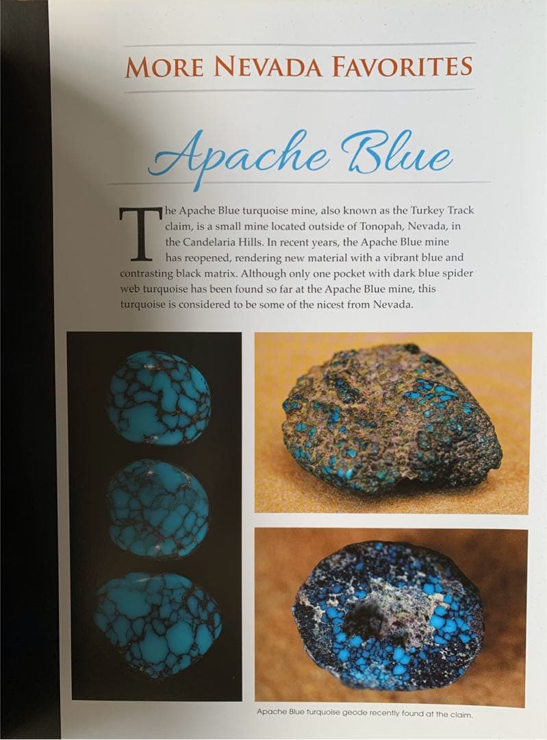 Jewel of the Southwest Turquoise ターコイズ 本 - メルカリ