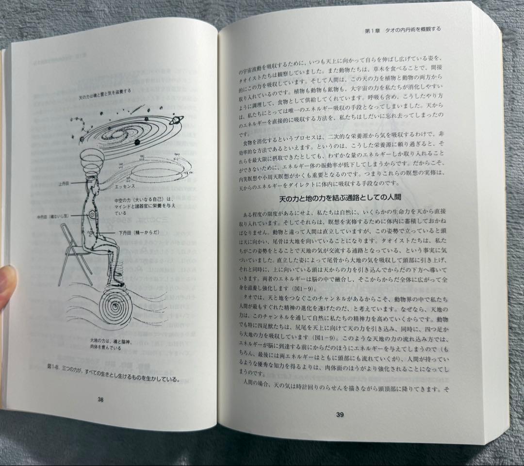 希少セット売り】 気内臓療法 タオ人間医学