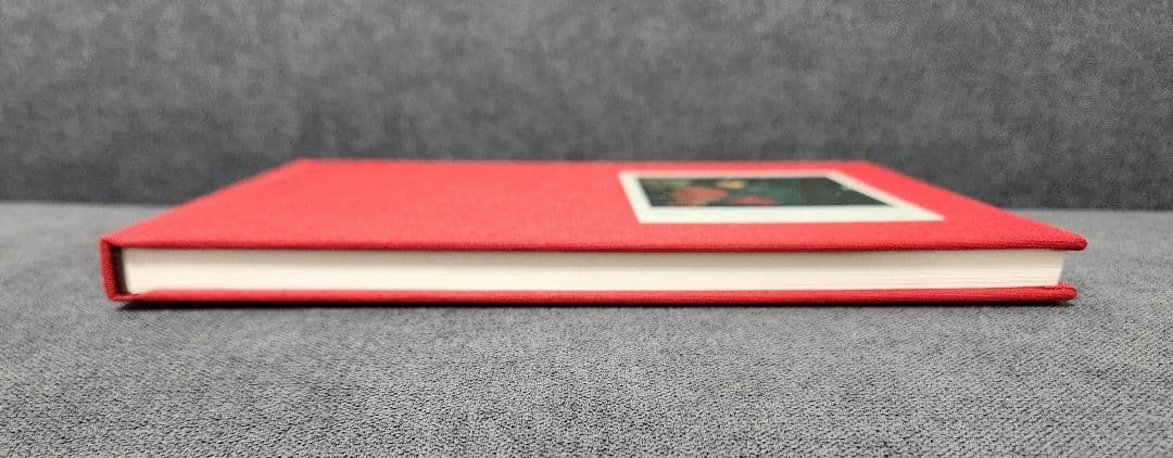 【500部限定】PiLのJEANNETTE LEE写真集